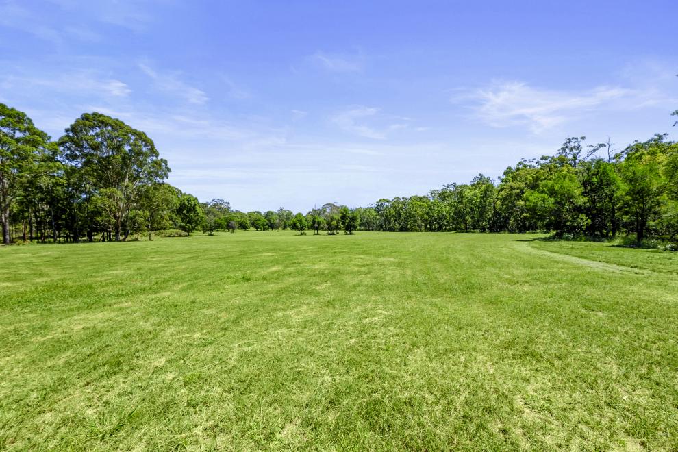 Rare Park Like Large Vacant Acres