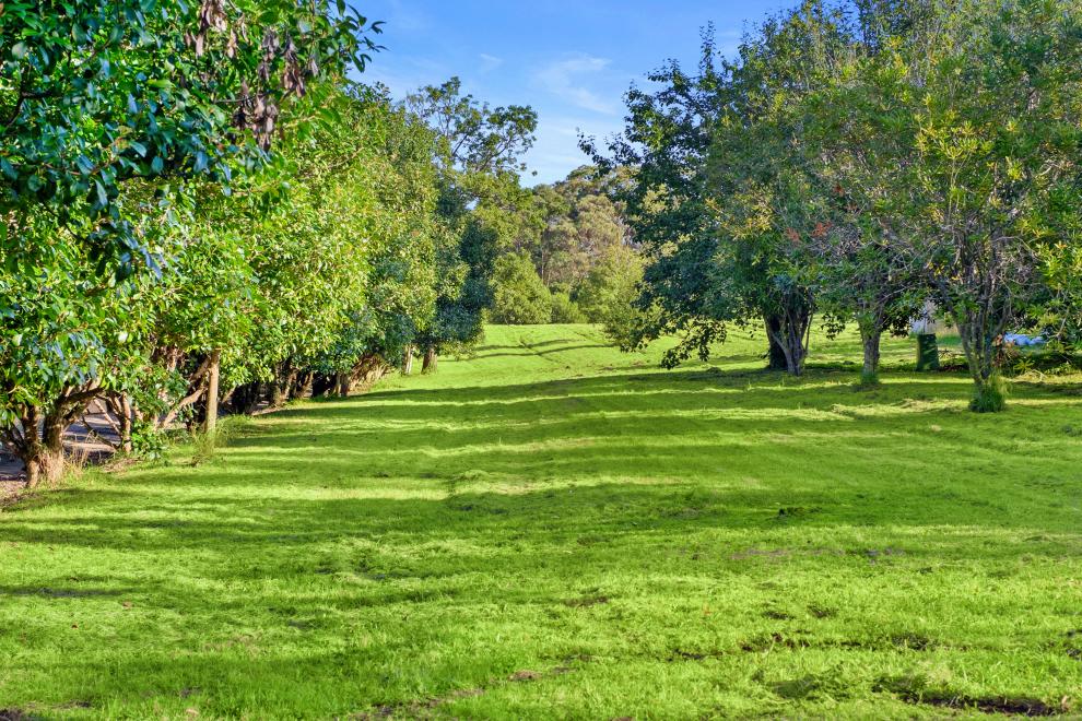 Exquisite 80 Acre Land Holding with 2 Homes