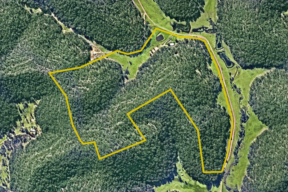 100 Acres with Many Choices