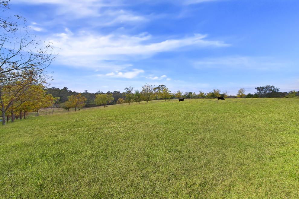 Stunning Land with Development Potential