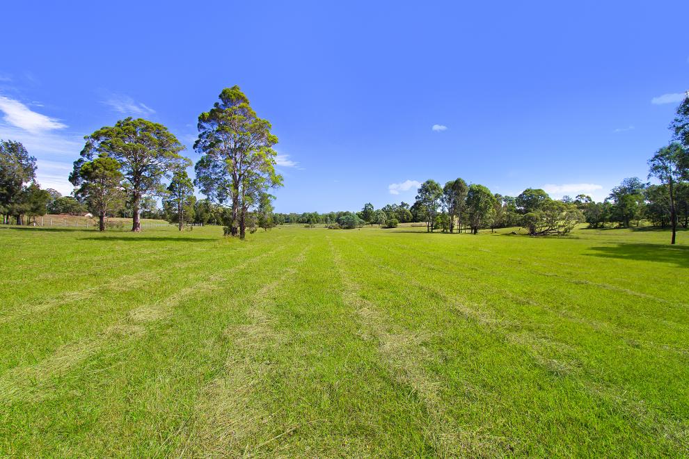 Stunning Acres are a Blank Canvas